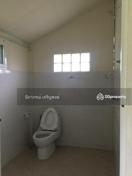 ขาย - ที่ดิน อ.สันทราย จ.เชียงใหม่, เชียงใหม่