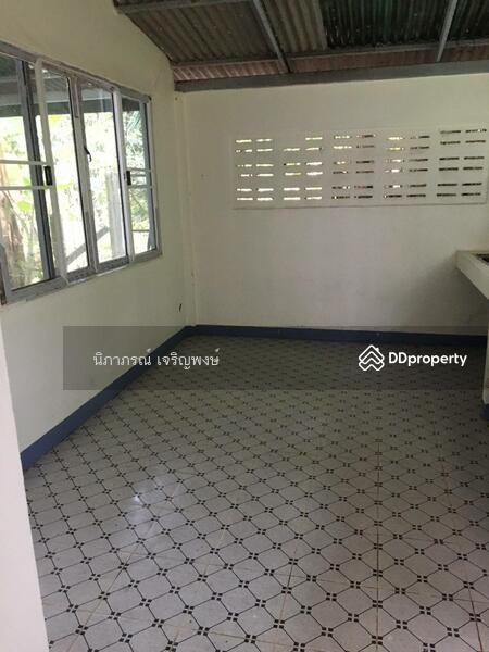 ขาย - ที่ดิน อ.สันทราย จ.เชียงใหม่, เชียงใหม่