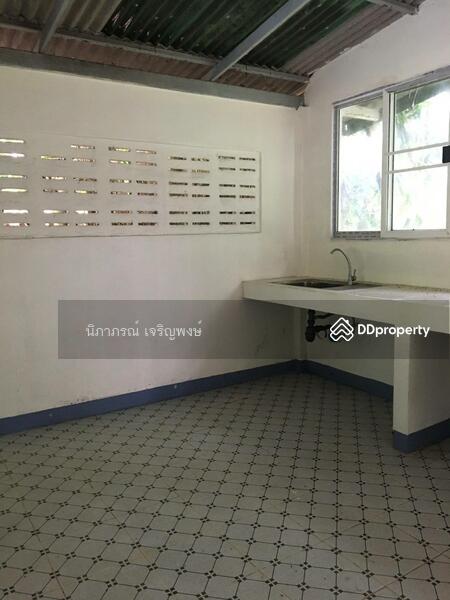 ขาย - ที่ดิน อ.สันทราย จ.เชียงใหม่, เชียงใหม่
