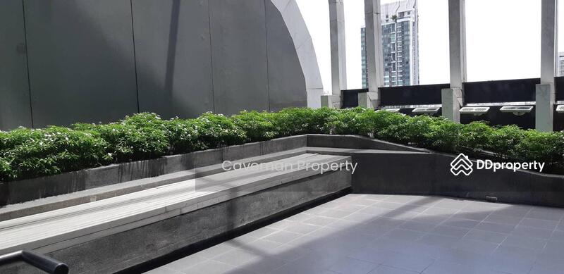 IDEO Q Siam-Ratchathewi : ไอดีโอ คิว สยาม-ราชเทวี, กรุงเทพ, ถนนเพชรบุรี แขวงถนนพญาไท เขตราชเทวี กรุงเทพมหานคร, ถนนพญาไท, ราชเทวี, กรุงเทพ, 50 ตร.ม., คอนโด ให้เช่า, โดย Caveman Property, 10593646 - DDproperty.com
