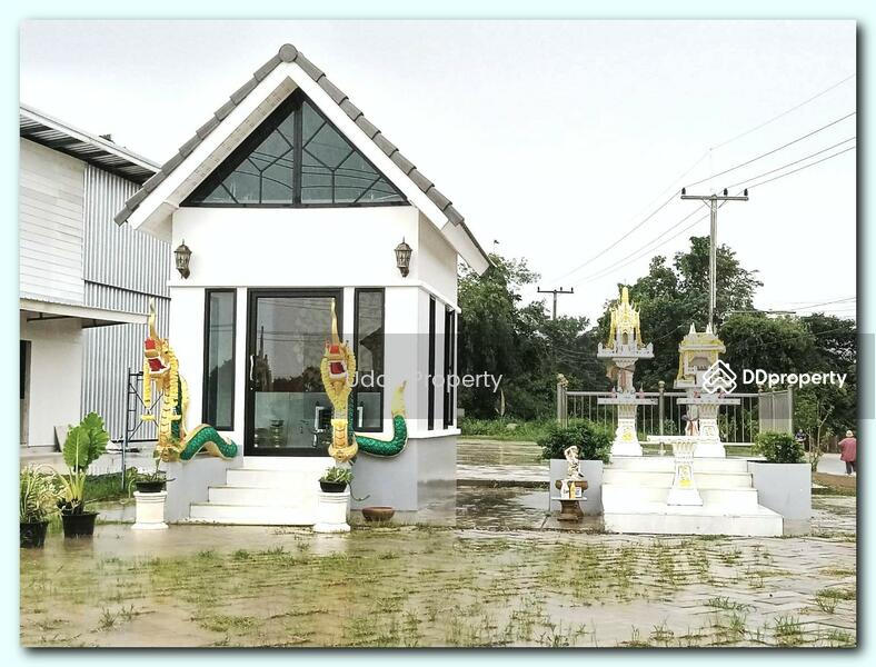 ให้เช่า - H1SR-174 ต.ปะโค อ.เมือง จ.หนองคาย : Pa Kho Subdistrict, Mueang District, Nongkhai Province, หนองคาย