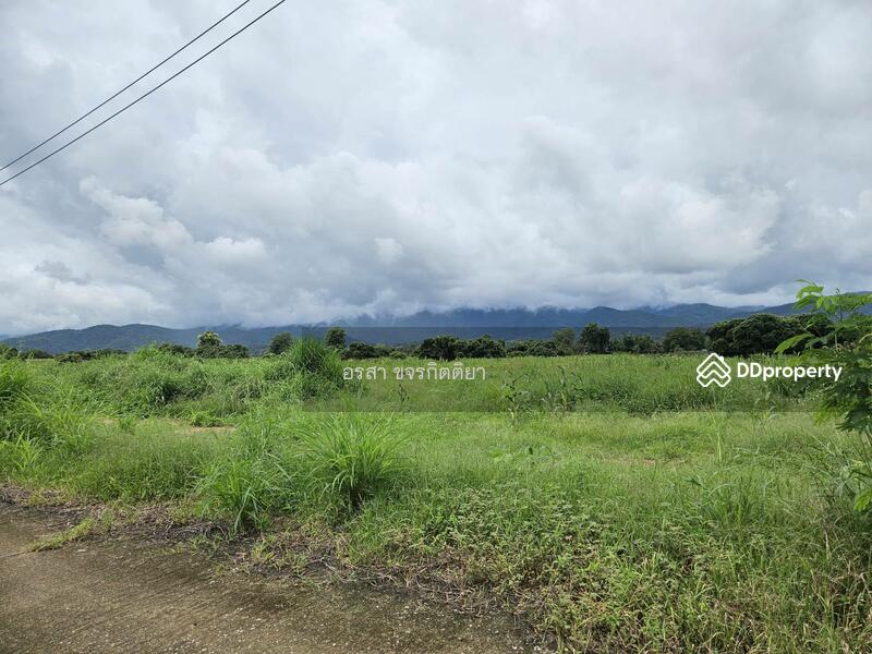 For Sale - Land For Sale Doi Luang Chiangdao View, Chiang Mai