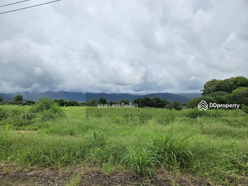 For Sale - Land For Sale Doi Luang Chiangdao View, Chiang Mai