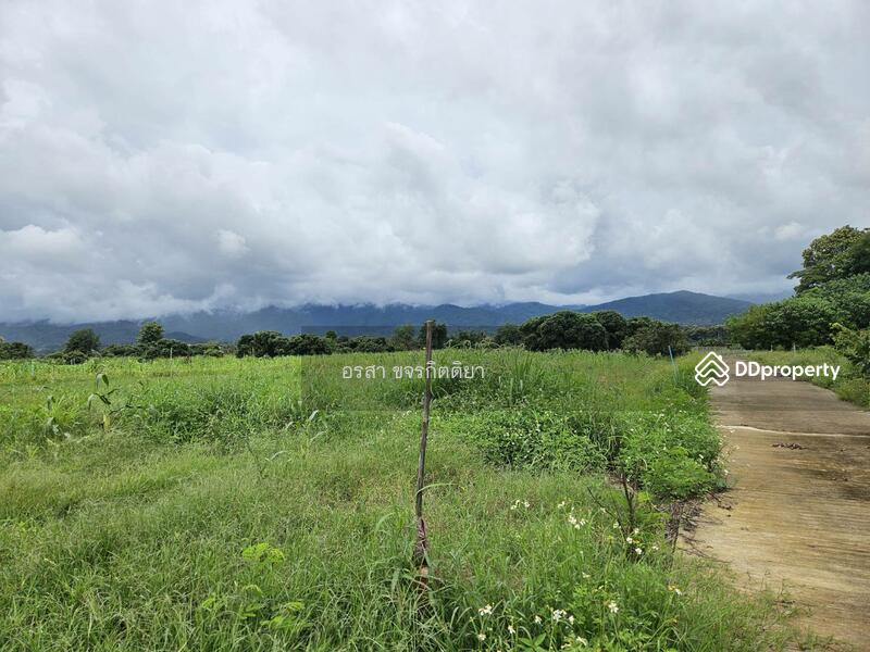 For Sale - Land For Sale Doi Luang Chiangdao View, Chiang Mai