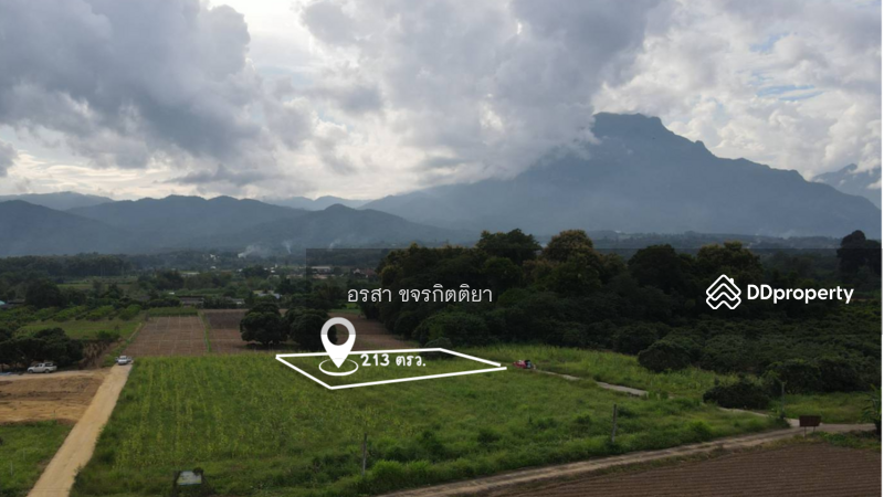 ขาย - เชียงดาว, เชียงใหม่