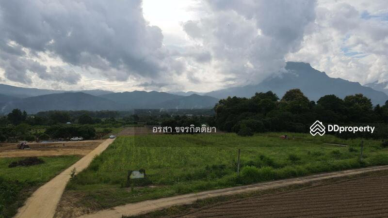 ขาย - เชียงดาว, เชียงใหม่