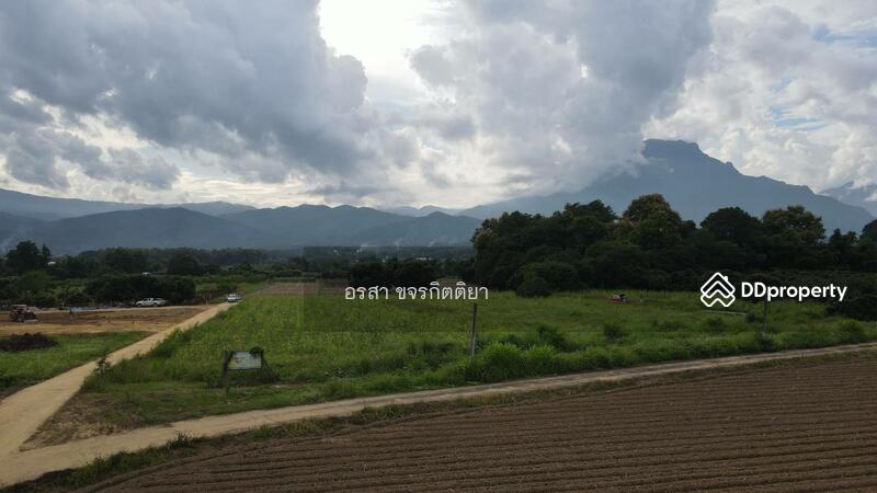 ขาย - เชียงดาว, เชียงใหม่