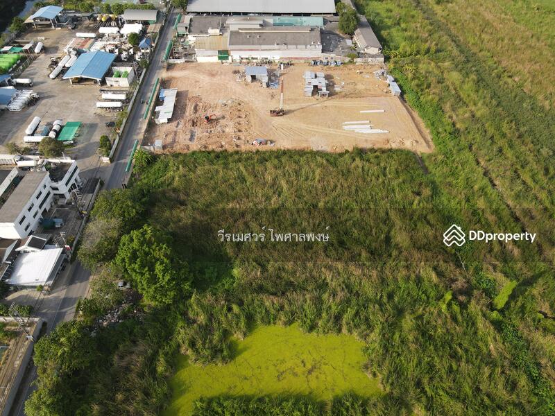 ขายที่ดิน เลียบคลอง 4 ถนนรังสิต-นครนายก ตำบลบึงยี่โถ ปทุมธานี (เหมาะสร้าง โครงการจัดสรร สำนักงาน ศูน
