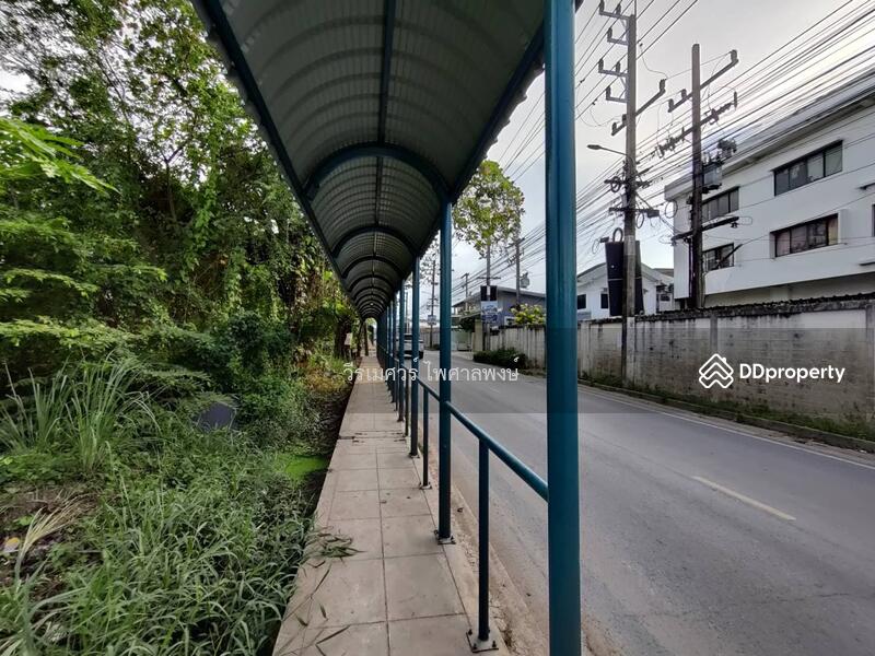 ขายที่ดิน เลียบคลอง 4 ถนนรังสิต-นครนายก ตำบลบึงยี่โถ ปทุมธานี (เหมาะสร้าง โครงการจัดสรร สำนักงาน ศูน