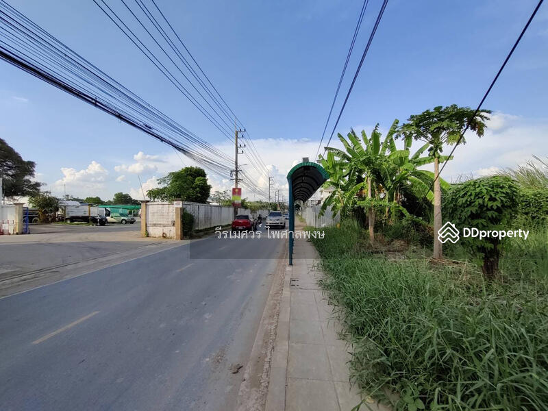 ขายที่ดิน เลียบคลอง 4 ถนนรังสิต-นครนายก ตำบลบึงยี่โถ ปทุมธานี (เหมาะสร้าง โครงการจัดสรร สำนักงาน ศูน