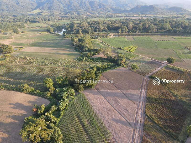 ที่ดินเชียงของ จังหวัดเชียงราย (วิวเขา ใกล้ริมโขง) 56-1-44 ไร่ ติดถนนสาธารณะ 2 ฝั่ง ถนนคอนกรีตกว้าง 