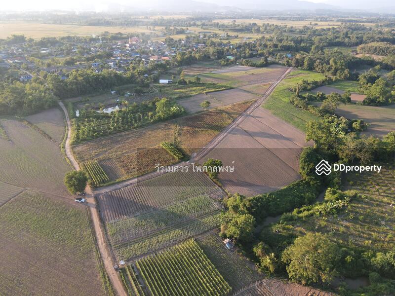 ที่ดินเชียงของ จังหวัดเชียงราย (วิวเขา ใกล้ริมโขง) 56-1-44 ไร่ ติดถนนสาธารณะ 2 ฝั่ง ถนนคอนกรีตกว้าง 