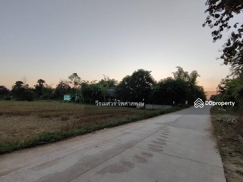 ที่ดินเชียงของ จังหวัดเชียงราย (วิวเขา ใกล้ริมโขง) 56-1-44 ไร่ ติดถนนสาธารณะ 2 ฝั่ง ถนนคอนกรีตกว้าง 