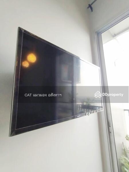 Manor Sanambinnam, Nonthaburi, 557 Nonthaburi Road, Bang Kra So, Muang Nonthaburi, Nonthaburi, 1 Bedroom, 30 sqm, Condo For Rent, by Cat Real Estate (Thailand) Co., Ltd., 10602178 - DDproperty.com