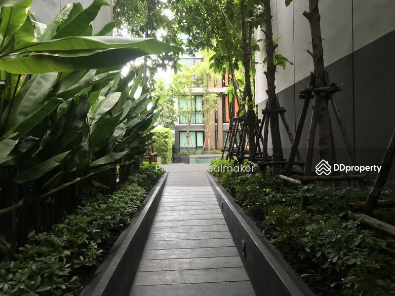 Vtara Sukhumvit 36, Bangkok, 118 Soi Saen Sabai, Phra Kanong, Khlong Toei, Bangkok, 1 Bedroom, 36 sqm, Condo For Rent, by Property Dealmaker, 10606411 - DDproperty.com
