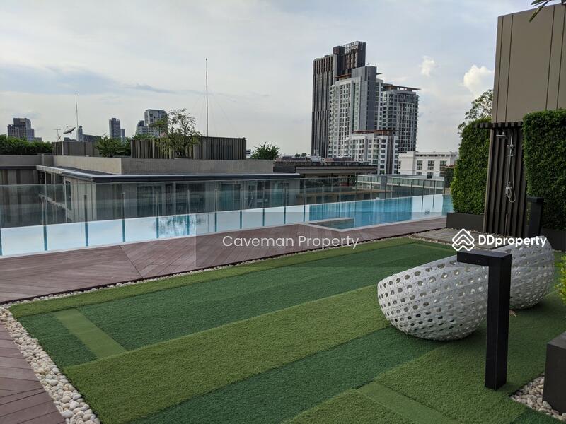 ให้เช่า - The Tree Sukhumvit 64 : เดอะทรี สุขุมวิท 64, กรุงเทพ
