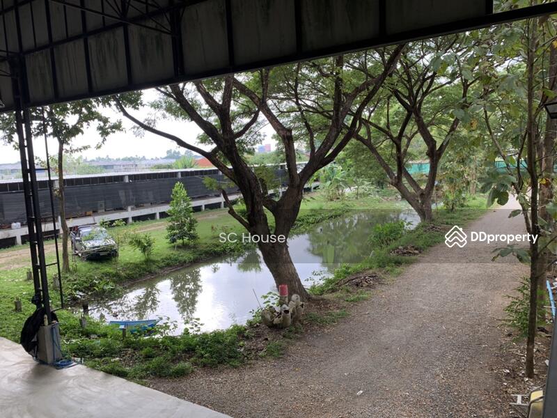 For Sale - ถนนวงแหวนรอบสาม สันผีเสื้อ, Chiang Mai