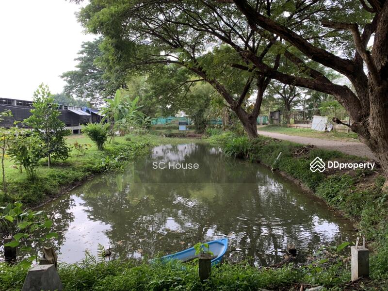 For Sale - ถนนวงแหวนรอบสาม สันผีเสื้อ, Chiang Mai