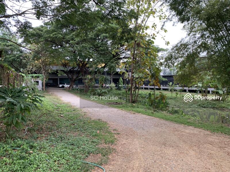 For Sale - ถนนวงแหวนรอบสาม สันผีเสื้อ, Chiang Mai