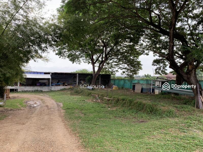 For Sale - ถนนวงแหวนรอบสาม สันผีเสื้อ, Chiang Mai