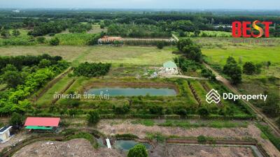 ขาย - ขาย ที่ดินเปล่า หนองเสือ ปทุมธานี, ปทุมธานี