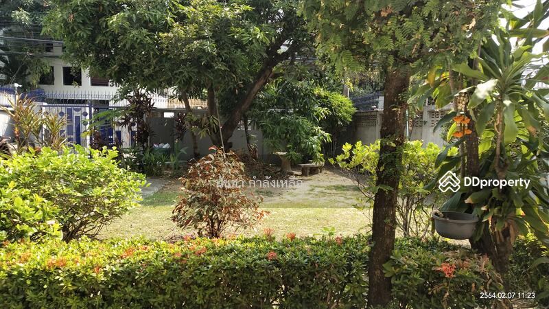 ขายบ้านเดี่ยว ถนนรัชดาภิเษกซ.32 104 ตร.ว ใกล้ศาลอาญารัชดา กรมส่งเสริมการส่งออก เซนทรัลลาดพร้าว, กรุงเทพ, รัชดาภิเษก, จันทรเกษม, จตุจักร, กรุงเทพ, 234 ตร.ม., บ้านเดี่ยว ขาย, โดย นัชชา กำลังเหลือ, 10611235 - DDproperty.com