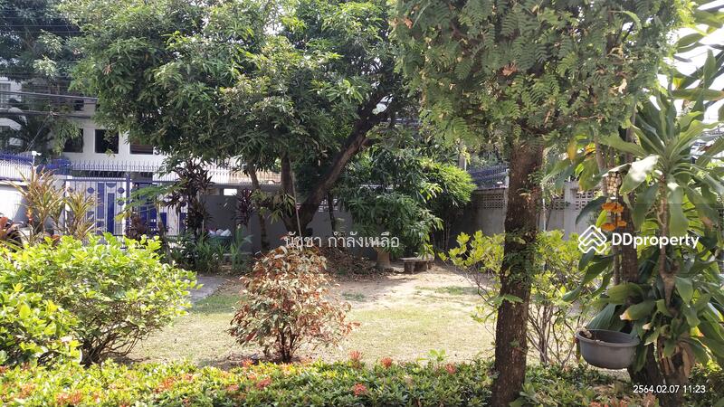 ขายบ้านเดี่ยว ถนนรัชดาภิเษกซ.32 104 ตร.ว ใกล้ศาลอาญารัชดา กรมส่งเสริมการส่งออก เซนทรัลลาดพร้าว, กรุงเทพ, รัชดาภิเษก, จันทรเกษม, จตุจักร, กรุงเทพ, 234 ตร.ม., บ้านเดี่ยว ขาย, โดย นัชชา กำลังเหลือ, 10611235 - DDproperty.com