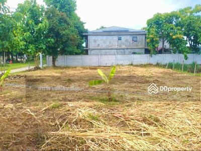 ขาย - ขาย ที่ดิน 100 ตารางวา ใกล้วัดป่าข่อยเหนือ ตำบลสันผีเสื้อ อำเภอเมือง, เชียงใหม่