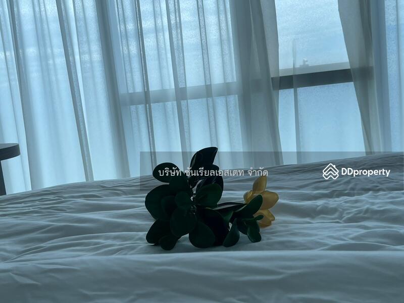 The Palm Wongamat Beach, Chon Buri (Pattaya), Soi Naklua 16, Na Kloe, Bang Lamung (Pattaya), Chon Buri (Pattaya), 4 Bedrooms, 160 sqm, Condo For Rent, by อาทิตยา จินตะเหวก, 10615314 - DDproperty.com