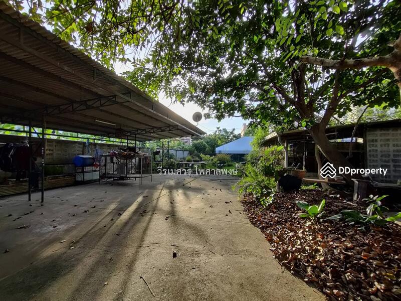 ขายที่ดินอ่อนนุช (เหมาะสร้าง บ้าน + สำนักงาน + Condominium) 191 ตารางวา ถนนกว้าง 8 m. ใกล้รถไฟฟ้า ห้