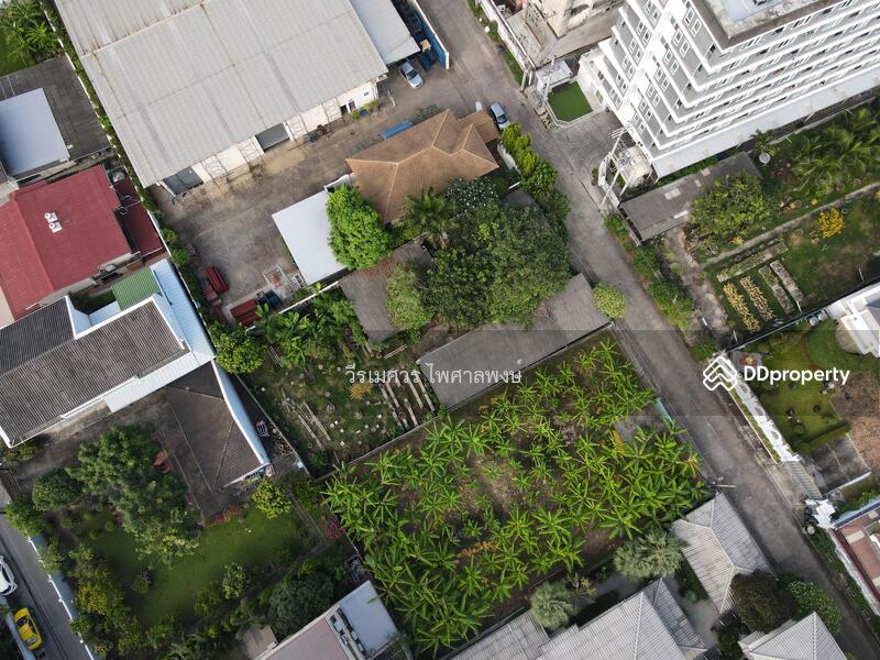 ขายที่ดินอ่อนนุช (เหมาะสร้าง บ้าน + สำนักงาน + Condominium) 191 ตารางวา ถนนกว้าง 8 m. ใกล้รถไฟฟ้า ห้