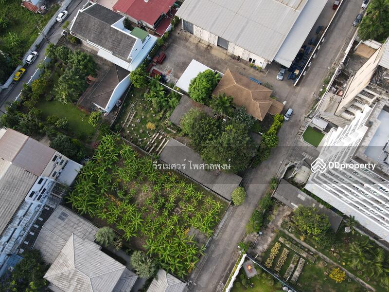 ขายที่ดินอ่อนนุช (เหมาะสร้าง บ้าน + สำนักงาน + Condominium) 191 ตารางวา ถนนกว้าง 8 m. ใกล้รถไฟฟ้า ห้