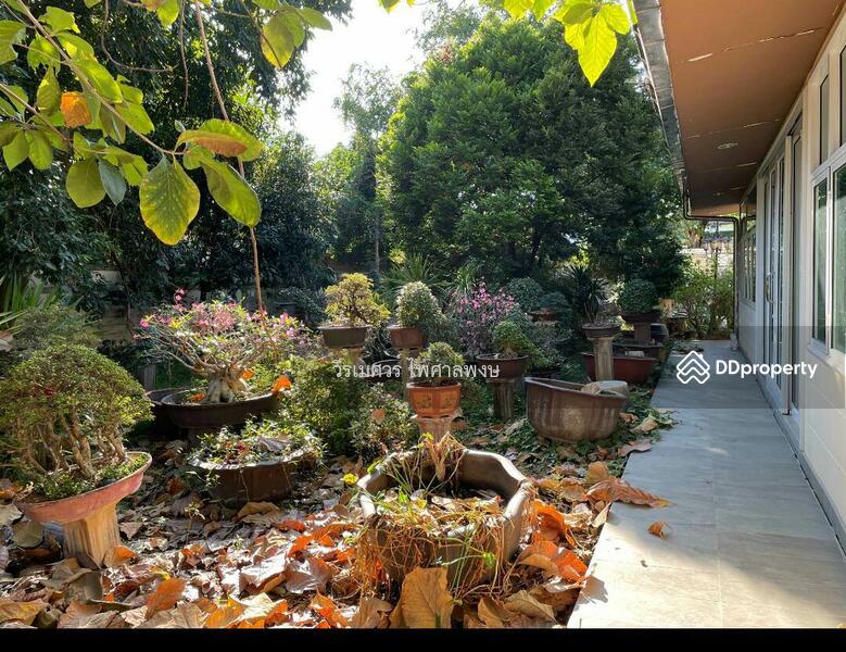 ขายที่ดินอ่อนนุช พร้อมสิ่งปลูกสร้าง (เหมาะสร้าง บ้าน + สำนักงาน + Condominium) 1-0-11 ไร่ ถนนกว้าง 8