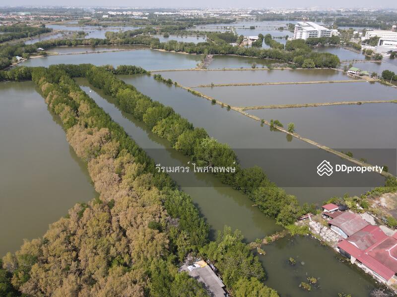 ขายที่ดิน บางขุนเทียน-ชายทะเล (เหมาะทำกาค้า ร้านอาหาร + สำนักงาน + โกดัง และ คลังสินค้า) 8-0-57 ไร่ 