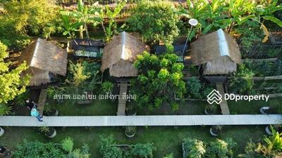 ขาย - ขายที่ดิน พร้อมร้านอาหาร และบ้านสวน ขนาด 1 ไร่ 2 งาน 85 ตารางวา ตำบลสันโป่ง อำเภอแม่ริม, เชียงใหม่