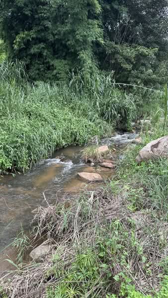 ที่ดินติดน้ำ ภูเขา เส้นไปแม่กำปอง เชียงใหม่, Chiang Mai, Huai Kaeo, Mae On, Chiang Mai, , 3,948 sqm, Land For Sale, by Pansak Kongklong, 10629608 - DDproperty.com