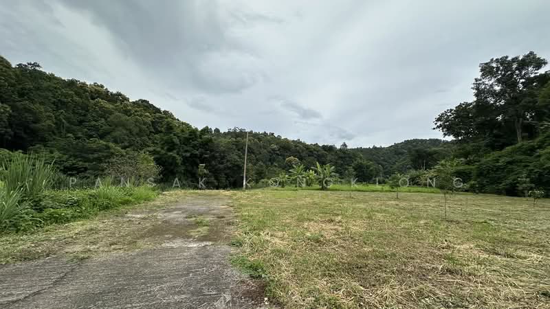 ที่ดินติดน้ำ ภูเขา เส้นไปแม่กำปอง เชียงใหม่, Chiang Mai, Huai Kaeo, Mae On, Chiang Mai, , 3,948 sqm, Land For Sale, by Pansak Kongklong, 10629608 - DDproperty.com