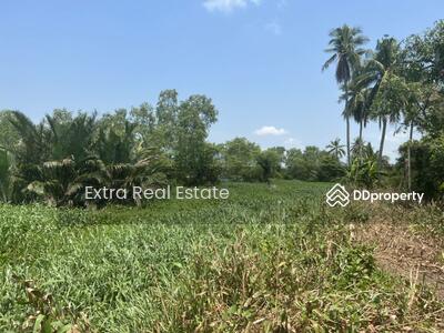 ขาย - ที่ดินสวยกระทุ่มแบน, สมุทรสาคร