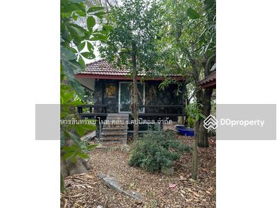 ขาย - ถ.เลียบคลอง 8, ปทุมธานี
