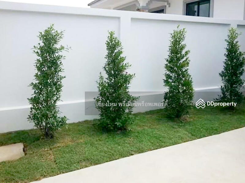 For Rent - House for rent in Chiang Mai near international schools, Saraphi with wheel chair ramp, Chiang Mai