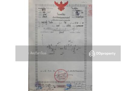 ขาย - ที่ดินเปล่า ต.ลำตาเสา อ.วังน้อย #ราคาประเมินราชการ #ติดถนนดำ #มอเตอร์เวย์อีสาน #ราคาถูกมากๆ, พระนครศรีอยุธยา