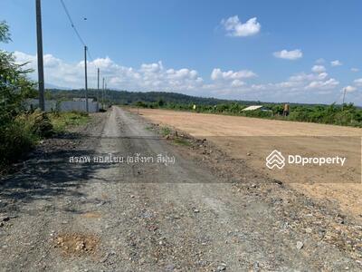 ขาย - ขาย ที่ดิน 348 ตารางวา (3 งาน) ถมแล้ว ตำบลขี้เหล็ก อำเภอแม่ริม, เชียงใหม่