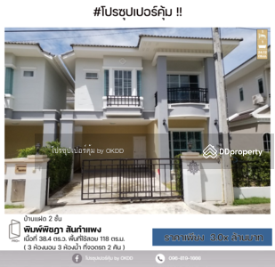 ขาย - พิมพ์พิชฎา สันกำแพง : Pimpichada San Kamphaeng, เชียงใหม่, เชียงใหม่