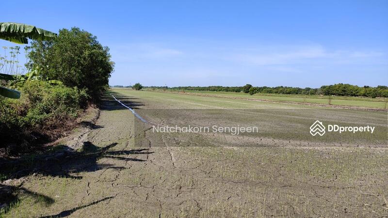 For Sale - Land for sale, 30 rai, Ongkharak-Rangsit Road, Khlong 16, Buengsan, Ongkharak, Nakhon Nayok., Nakhon Nayok