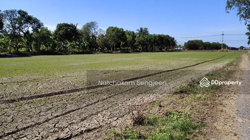 For Sale - Land for sale, 30 rai, Ongkharak-Rangsit Road, Khlong 16, Buengsan, Ongkharak, Nakhon Nayok., Nakhon Nayok