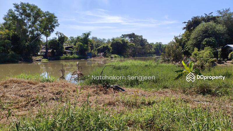 ขาย - ขายที่ดิน 30 ไร่ ถนนองครักษ์-รังสิต คลอง 16 ต. บึงศาล อ. องครักษ์ จ. นครนายก, นครนายก