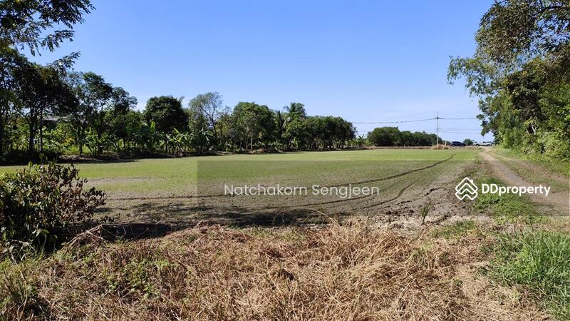 For Sale - Land for sale, 30 rai, Ongkharak-Rangsit Road, Khlong 16, Buengsan, Ongkharak, Nakhon Nayok., Nakhon Nayok