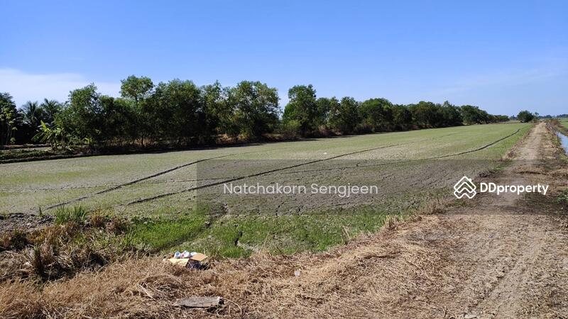 For Sale - Land for sale, 30 rai, Ongkharak-Rangsit Road, Khlong 16, Buengsan, Ongkharak, Nakhon Nayok., Nakhon Nayok