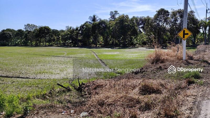 ขาย - ขายที่ดิน 30 ไร่ ถนนองครักษ์-รังสิต คลอง 16 ต. บึงศาล อ. องครักษ์ จ. นครนายก, นครนายก