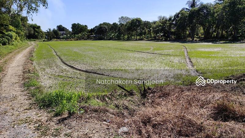 For Sale - Land for sale, 30 rai, Ongkharak-Rangsit Road, Khlong 16, Buengsan, Ongkharak, Nakhon Nayok., Nakhon Nayok